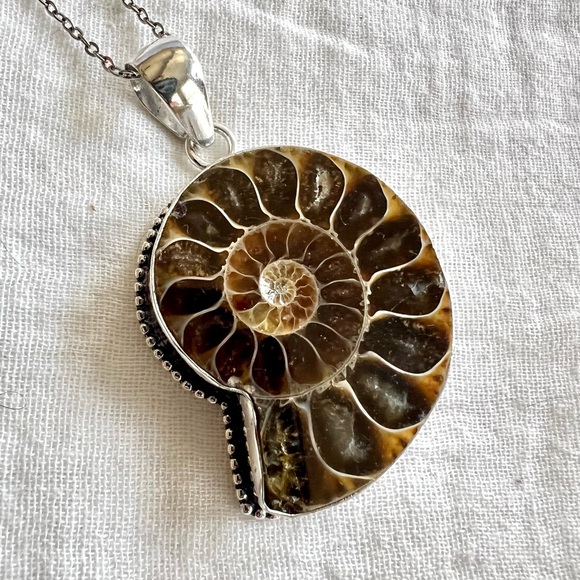 Elegant Silver Ammonite Pendant Necklace - Picture 2 of 6